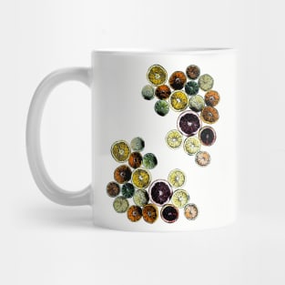 Fruit Slices Mug